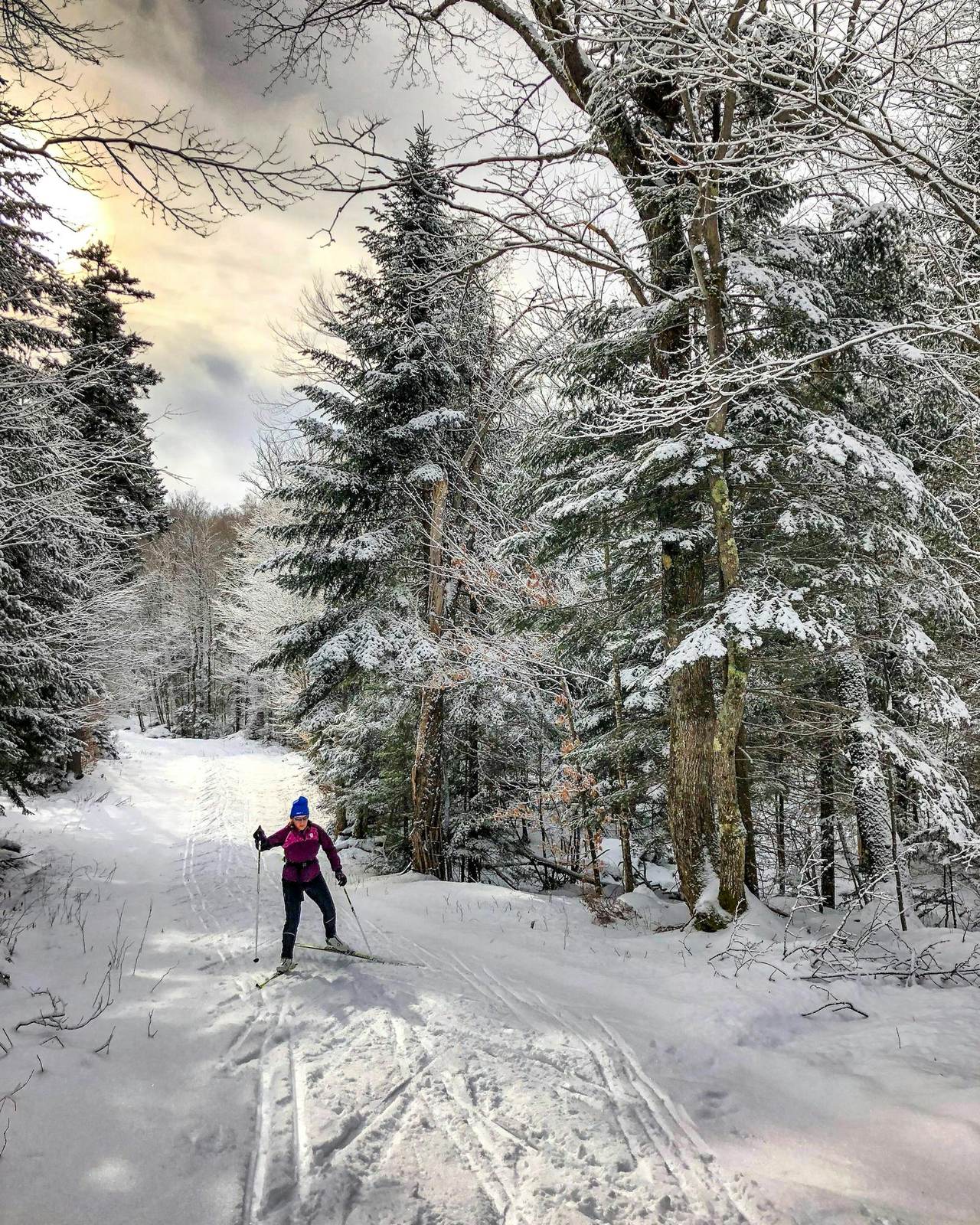 Eine Langläuferin auf einer Loipe durch tief verschneiten Wald